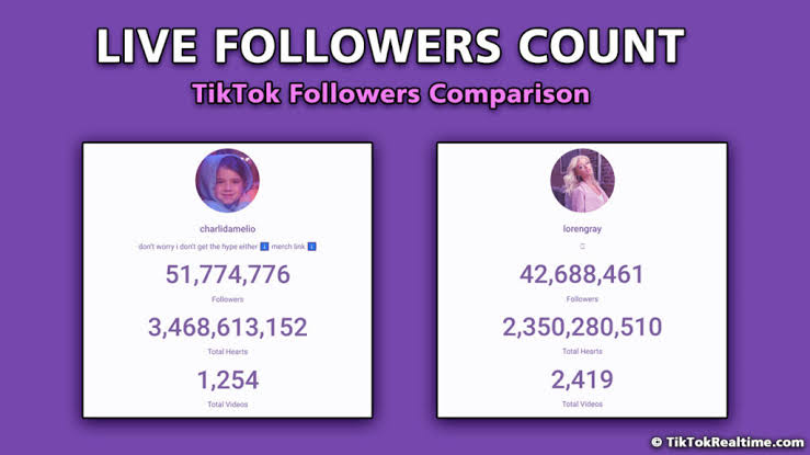 TikTok follower count