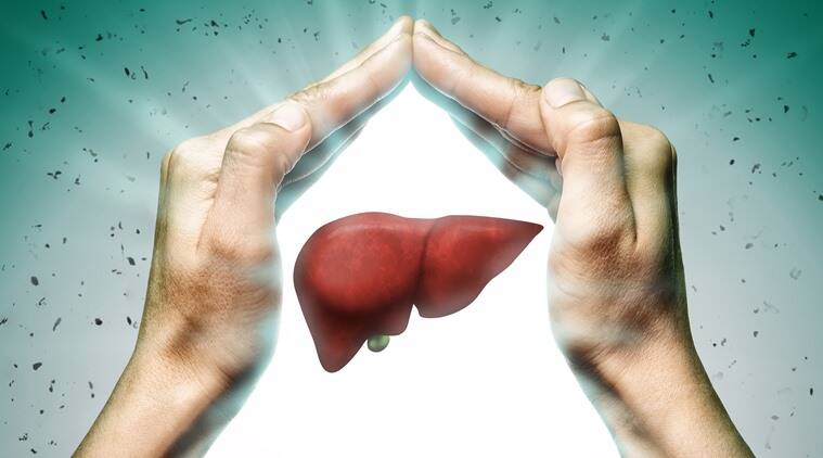 Benefits of Liver Supplements