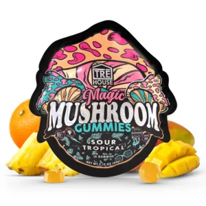 Mushroom Gummies Lately